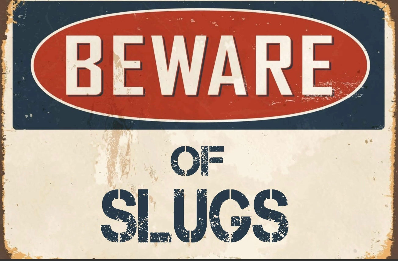 Beware of Slugs Sign