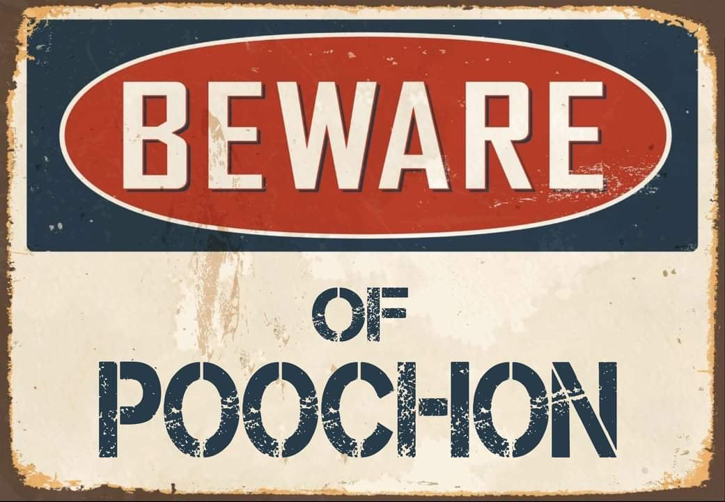 Beware of Poochon Sign